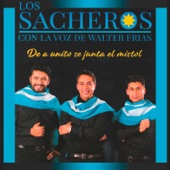 Padre Querido (feat. Walter Frías) artwork