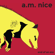 Porchlight - A.M. Nice