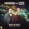 What We Need (feat. Haris) - Single, 2017