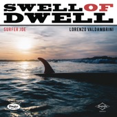 Swell of Dwell artwork