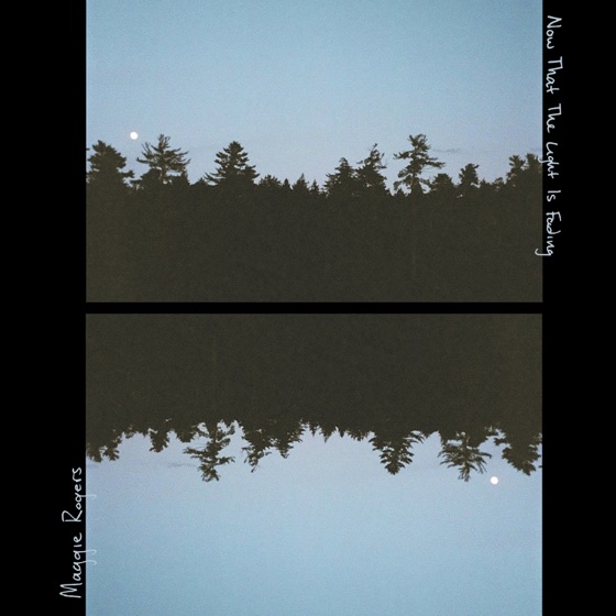 Cover artwork for Dog Years