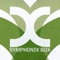 Shamanic (Symphonix Remix) artwork
