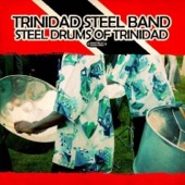 Trinidad Steel Band - Perdoname
