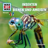 37: Insekten / Bienen und Ameisen artwork