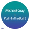 Push (In the Bush) [Edit] - Single