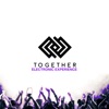 Together Electronic Experience, Vol. 7