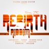 Rebirth Riddim - EP