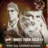 Why (feat. Stephen Marley) - Single album lyrics, reviews, download
