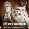 Stream & download Why (feat. Stephen Marley) - Single