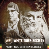 Why (feat. Stephen Marley) artwork