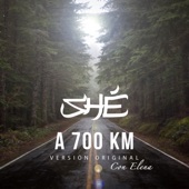 A 700 km (con Elena) [with Elena] artwork