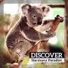 Discover Harmony Paradise: Soothing Freshmaker, Get Relaxation Today, State Without Anxiety album lyrics, reviews, download