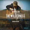 A Voice in the Wilderness, Vol. 2 album lyrics, reviews, download