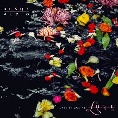 Only Things We Love - Blaqk Audio Only Things We Love - Blaqk Audio