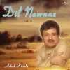 Dil Nawaaz, Vol. 2 album lyrics, reviews, download