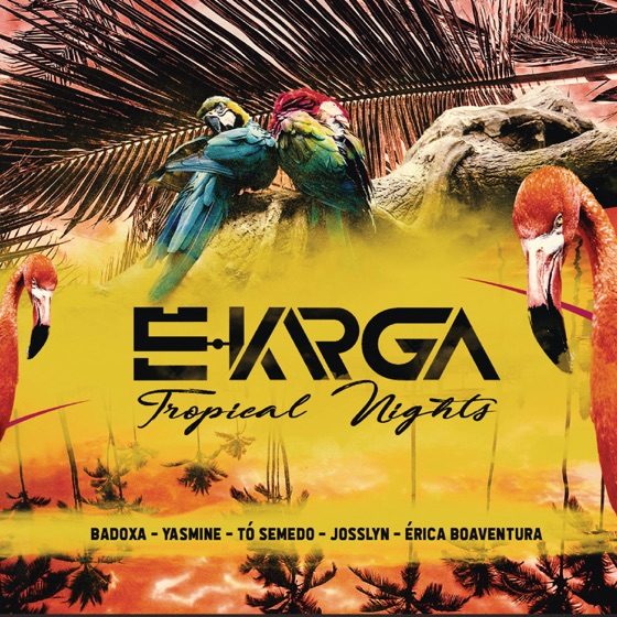 Cover artwork for Vou Esperar por Ti