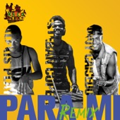 Para Mi (feat. Anddy Caicedo & Alexis Play) [Remix] artwork