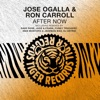 After Now (Remixes)