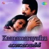S. Janaki - Illiyilam Kili