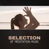 Selection of Meditation Music – Spotless Buddha album lyrics, reviews, download