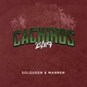 Cachiros 2019 artwork