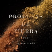Promesas De Tierra artwork