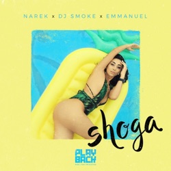 Narek Mets Hayq, DJ Smoke & Emmanuel - Shoga
