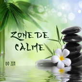 Zone de calme: 60 Zen - Pensée Positive Académie