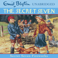 Enid Blyton - Secret Seven Fireworks artwork