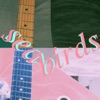 Seabirds - Single