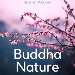 Buddha Nature: Quiet your Mind, Guided Meditation Music, Joy of Life, Sentimental Journey by Life Relax album reviews, ratings, credits