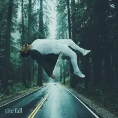 The Fall by Joey Vantes album reviews, ratings, credits