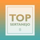 Top Sertanejo (Ao Vivo) - ヴァリアス・アーティスト