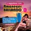 Y Seguimos Con Amanecer Bailando, Vol. 4