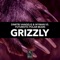 Grizzly - Dimitri Vangelis & Wyman & Futuristic Polar Bears lyrics