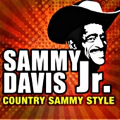 Country Sammy Style artwork