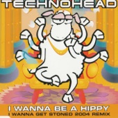 I Wanna be a Hippy (Hippy Weird Mix) artwork