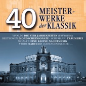 40 Meisterwerke der Klassik artwork