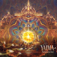 Yaima - Antidote artwork