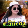 Mam Caneda Aali - Single