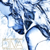 Diva: The Singles Collection artwork