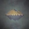 Hebrews, 2017