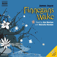 James Joyce - Finnegans Wake artwork