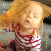 John Scofield - Endless Summer