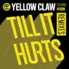 Till It Hurts (Remixes) [feat. Ayden] - EP album lyrics, reviews, download