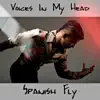 Voices in My Head (feat. Aki Starr) - Single album lyrics, reviews, download