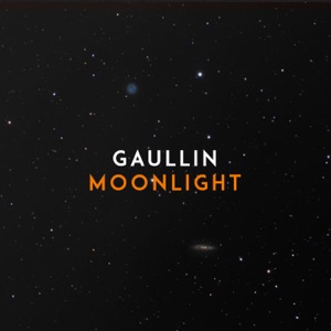 GAULLIN