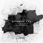 Without You (feat. Sandro Cavazza) [Remixes] - EP artwork