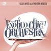 Exotic Chic Orchestra artwork