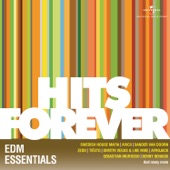 Hits Forever - EDM Essentials artwork